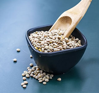 Lentils Seed