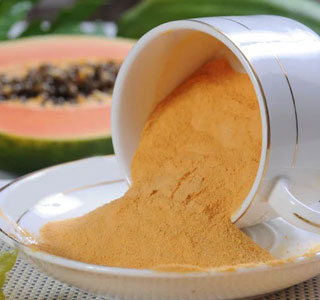 Papaya Powder