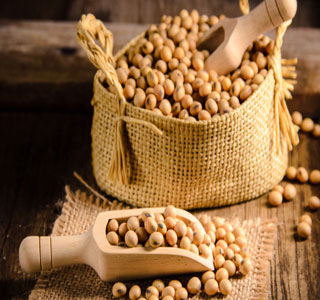 Soya Beans