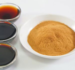 Soya Sauce Powder